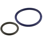 Order WALKER PRODUCTS - 17099 - Fuel Injector O-Ring Kit For Your Vehicle