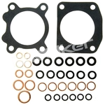 Order Injector Seal Kit by WALKER PRODUCTS - 18084 For Your Vehicle