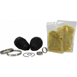Order MOTORCRAFT - TS251 - Inner And Outer Boot Kit For Your Vehicle
