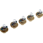 Order Instrument Light by DORMAN (OE SOLUTIONS) - 639-006 For Your Vehicle