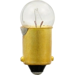 Order SYLVANIA - 53.TP - Bulb For Your Vehicle