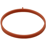 Order ELRING - DAS ORIGINAL - 480.210 - Intake to Exhaust Gasket For Your Vehicle