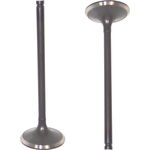 Order DNJ ENGINE COMPONENTS - IV219 - Intake Valve For Your Vehicle