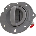 Order Interior Door Handle by DORMAN/HELP - 88203 For Your Vehicle