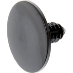 Order Interior Hardware by DORMAN - 700-725 For Your Vehicle