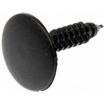 Order Interior Hardware by DORMAN/AUTOGRADE - 963-009 For Your Vehicle