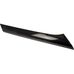 Order DORMAN (OE SOLUTIONS) - 926-289 - Windshield A-Pillar Molding For Your Vehicle