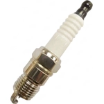 Order Iridium And Platinum Plug by SKP - SP1008 For Your Vehicle