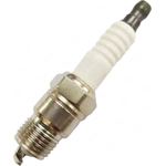 Order Iridium And Platinum Plug by SKP - SP1009 For Your Vehicle