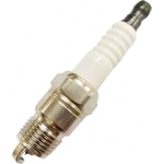 Order Iridium And Platinum Plug by SKP - SP1010 For Your Vehicle