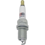 Order Iridium Plug by CHAMPION SPARK PLUG - 9002 For Your Vehicle