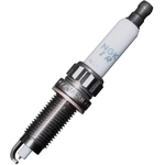 Order NGK USA - 1555 - Spark Plug For Your Vehicle