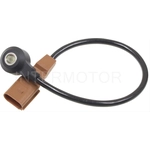 Order Knock Sensor by BLUE STREAK (HYGRADE MOTOR) - KS247 For Your Vehicle