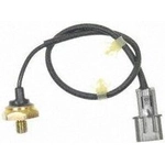 Order Knock Sensor by BLUE STREAK (HYGRADE MOTOR) - KS282 For Your Vehicle