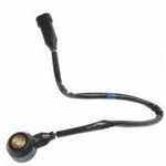 Order Détecteur de cliquetis de BLUE STREAK (HYGRADE MOTOR) - KS341 For Your Vehicle