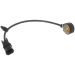 Order DELPHI - AS10205 - Ignition Knock Sensor For Your Vehicle