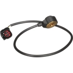 Order Knock Sensor by DELPHI - AS10265 For Your Vehicle