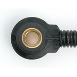 Order Knock Sensor by DELPHI - AS10062 For Your Vehicle