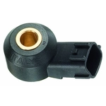 Order Knock Sensor by FACET - 9.3112 For Your Vehicle