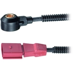 Order FACET - 9.3171 - Ignition Knock Sensor For Your Vehicle