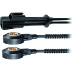 Order Knock Sensor by FACET - 9.3174 For Your Vehicle