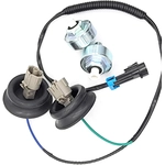 Order Knock Sensor by HOLSTEIN - 2KNC0025KIT For Your Vehicle