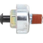 Order HOLSTEIN - 2KNC0030 - Ignition Knock For Your Vehicle