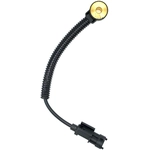 Order Knock Sensor by HOLSTEIN - 2KNC0249 For Your Vehicle