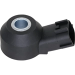 Order HOLSTEIN - 2KNC0250 - Ignition Knock (Detonation) Sensor For Your Vehicle