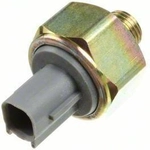 Order Knock Sensor by HOLSTEIN - 2KNC0070 For Your Vehicle