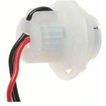Order Lamp Socket by BLUE STREAK (HYGRADE MOTOR) - HP3955 For Your Vehicle