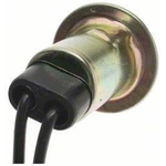 Order Lamp Socket by BLUE STREAK (HYGRADE MOTOR) - HP4040 For Your Vehicle