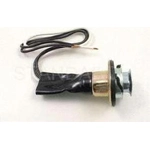 Order Lamp Socket by BLUE STREAK (HYGRADE MOTOR) - HP4160 For Your Vehicle