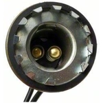 Order Lamp Socket by BLUE STREAK (HYGRADE MOTOR) - HP4590 For Your Vehicle