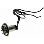 Order Lamp Socket by BLUE STREAK (HYGRADE MOTOR) - S29 For Your Vehicle