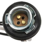 Order Lamp Socket by BLUE STREAK (HYGRADE MOTOR) - S504 For Your Vehicle