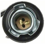 Order Lamp Socket by BLUE STREAK (HYGRADE MOTOR) - S505 For Your Vehicle