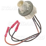 Order Lamp Socket by BLUE STREAK (HYGRADE MOTOR) - S533 For Your Vehicle