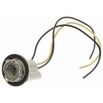 Order Lamp Socket by BLUE STREAK (HYGRADE MOTOR) - S54 For Your Vehicle