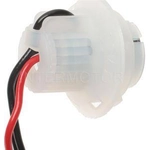 Order Lamp Socket by BLUE STREAK (HYGRADE MOTOR) - S847 For Your Vehicle
