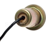 Order Lamp Socket by BLUE STREAK (HYGRADE MOTOR) - S87 For Your Vehicle