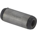 Order Leaf Shackle Bushing by MOOG - SB253 For Your Vehicle