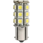 Order LED Bulb by AP PRODUCTS - 016-1141-290 For Your Vehicle