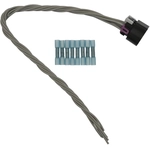 Order BWD AUTOMOTIVE - PT5887 - Ignition Coil Connector For Your Vehicle