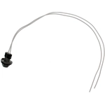 Order DORMAN - 645-534 - Headlamp Socket For Your Vehicle