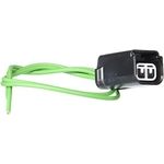 Order License Lamp Connector by MOTORCRAFT - WPT1133 For Your Vehicle