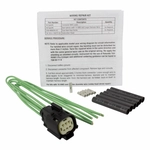 Order License Lamp Connector by MOTORCRAFT - WPT971 For Your Vehicle