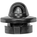 Order DORMAN - 68169 - License Lamp Lens For Your Vehicle