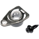 Order DORMAN - 68174 - License Lamp Lens For Your Vehicle