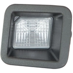Order License Plate Lamp Assembly - FO2870103C For Your Vehicle